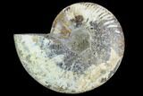 Cut Ammonite Fossil (Half) - Agatized #125562-1